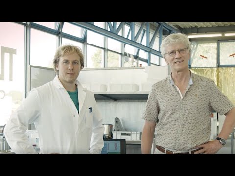 Bioreaktor Kuh -