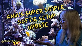 Ania’s Super Simple Softie Setup - 1 year update! | Gallery Aquatica TV screenshot 5