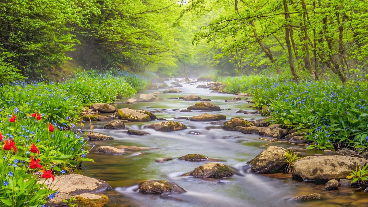 Нежная лечебная музыка 🌿 Восстанавливает нервную систему - успокаивает сердце и душу