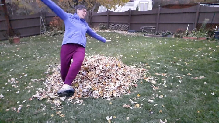 Fun with Leaves