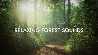 🌲[ Relax music for slepp ] [ Binaural beats] - Fall into a deep sleep with the sounds of the forest