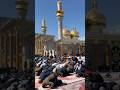 Friday prayer in Baghdad