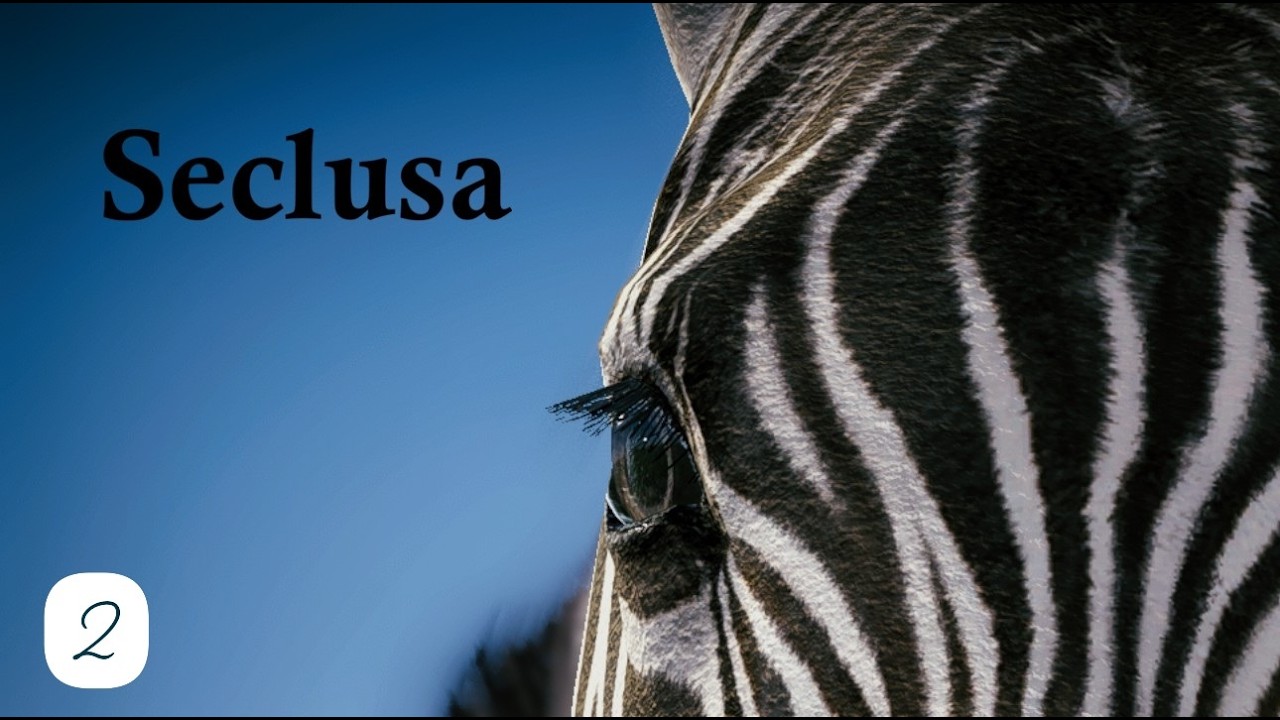 Seclusa Gameplay - I found Ambo 🐘❤️