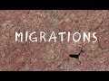 Migrations