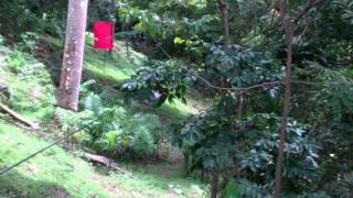 VID00633.MP4