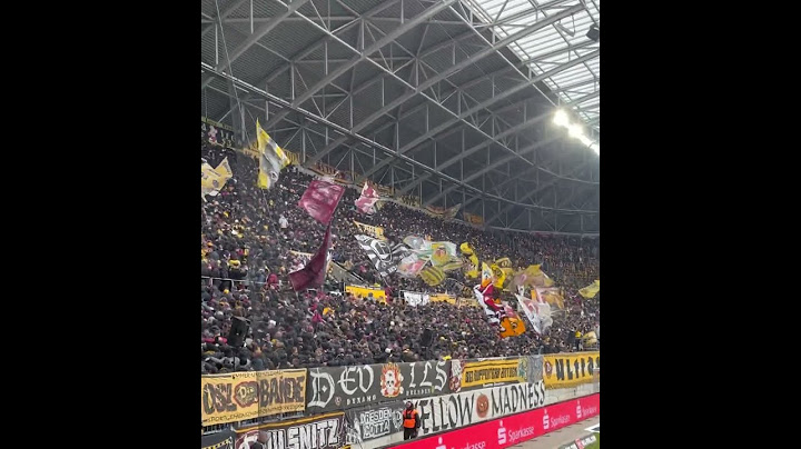 Dynamo Dresden gegen Wismut Aue - Dy Dy Dy vor dem Spielbeginn 01.02.25