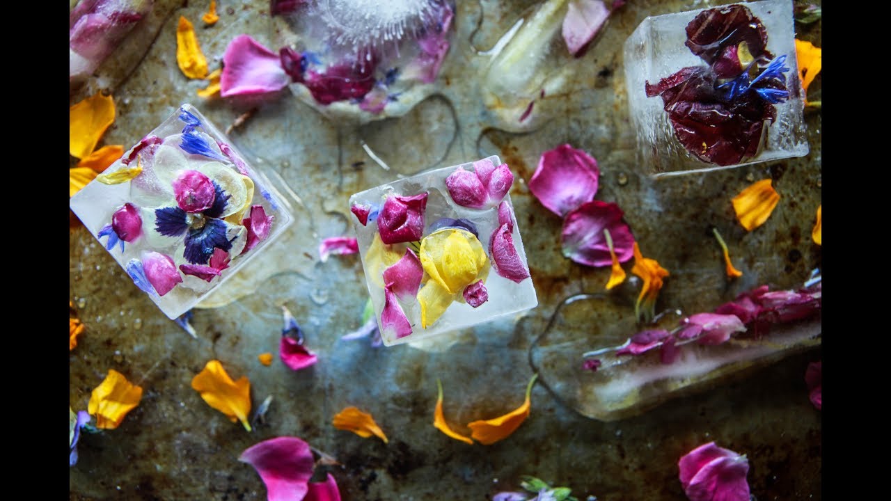 Edible Flower Ice Cubes - GROWING WITH GERTIE