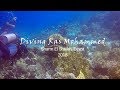 Diving Ras Mohammed, Sharm El Sheikh, Egypt, 2018