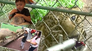 動物園 エサやり♫ サファリパーク ひょう カピバラ おでかけ Fuji Safari park Zoo