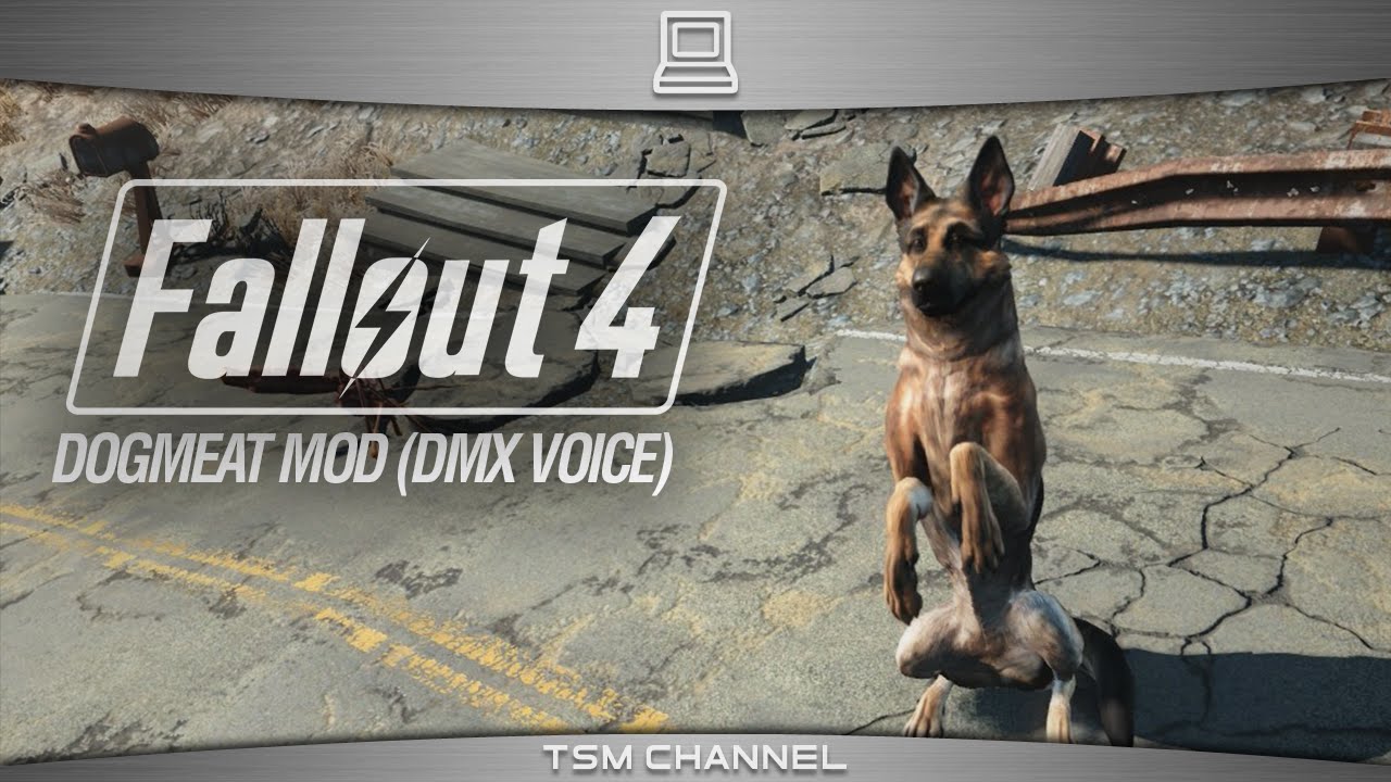Fallout 4 Dogmeat Mod (DMX Voice) - YouTube