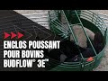 Enclos pivotant pour bovins BudFlow® 3E | Équipement pour bovins | Arrowquip