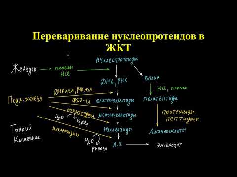 Лекция 13. Часть