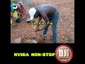 Dj kirao org 2021 nyira non stop best of mzee matata sub like share