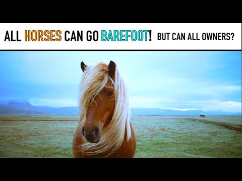 🤔 All horses can go BAREFOOT! But can all owners?