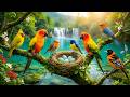 Soothing Piano with Beautiful Birdsong 🍃 Tranquil Forest Sounds for Peace &amp; Stress Relief