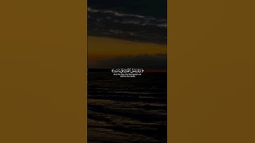 وَيَومَ يَعَضُّ الظّالِمُ عَلى يَدَيهِ يَقولُ .. | سورة الفرقان | القارئ عبدالرحمن مسعد