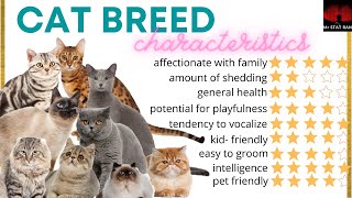 WHICH CAT BREED SUITS ME? | TOP 10 CAT BREEDS IN THE PHILIPPINES