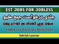 EST Jobs for Sindh How to Apply, Federal Directorate School