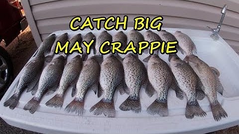 Tips,Tactics,and lures to catch big May Crappie/Post spawn Crappie fishing How to catch big crappie