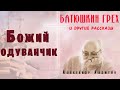 "Божий одуванчик"  ● Протоиерей Александр Авдюгин (из книги  "Батюшкин грех и другие рассказы")