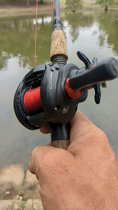 Abu Garcia Black Max!