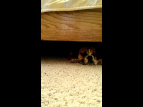 Stuck under bed#2