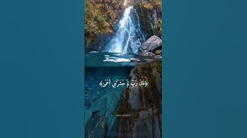 ( قَالَ رَبِّ لِمَ حَشَرْتَنِي أَعْمَى ) للقارئ الشيخ سعد الغامدي سوره طه الآية ﴿125،،﴾🍒✍️