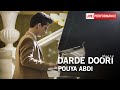 Pouya Abdi - Dard Dori | OFFICIAL LIVE PERFORMANCE ( پویا عبدی - درد دوری )