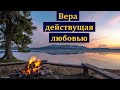 "Вера действующая любовью". А. В. Штейнбрехер. МСЦ ЕХБ