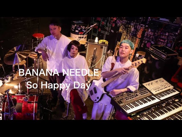 再写真追加solina サービスインフォメーションとハモンドオルガンパンフレット So Happy Day / BANANA NEEDLE / ハモンドオルガントリオ / Hammond