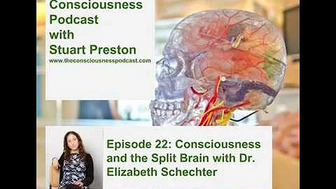 The Consciousness Podcast with Elizabeth Schechter