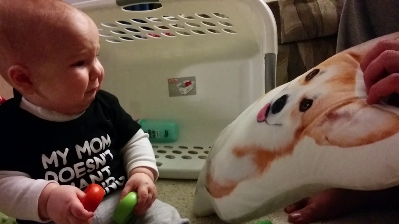 Baby Afraid of Dog Pillow YouTube