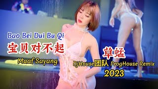 Video thumbnail of "草蜢 - 宝贝对不起 - Bao Bei Dui Bu Qi - (DjHouse团队 ProgHouse Remix 2023) - Maaf Sayang #dj抖音版2023"