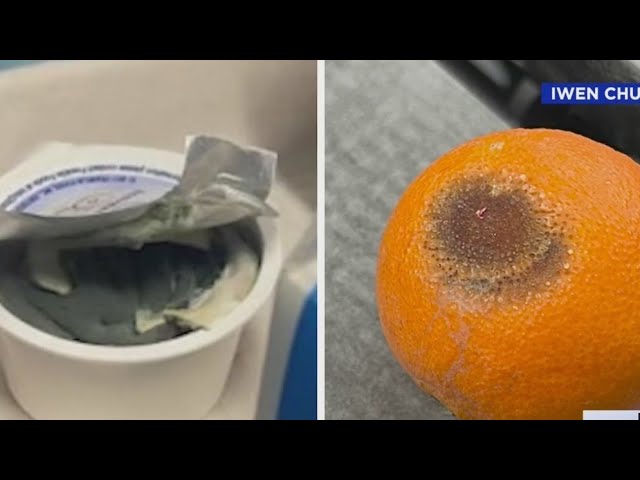 Ny Lawmaker Blasts Nyc Schools For Moldy Lunches