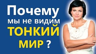 Почему мы не видим тонкий мир?