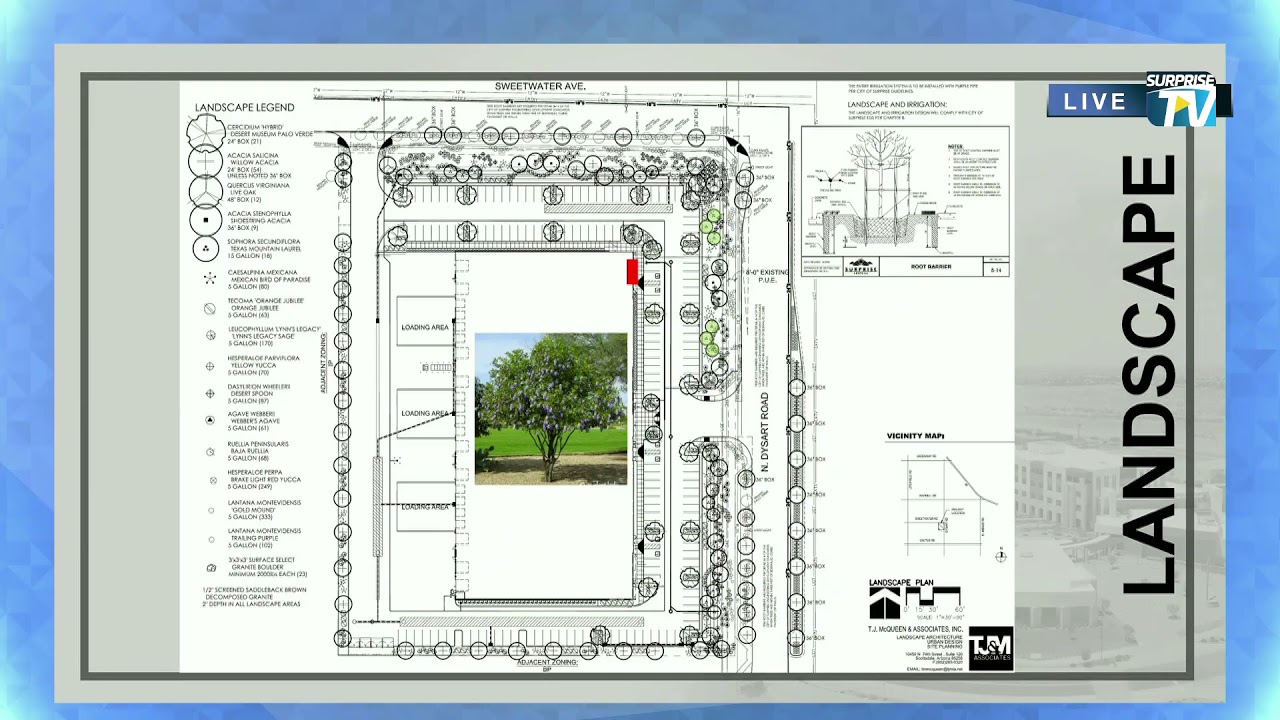 Planning and Zoning Commission - 02/04/2021