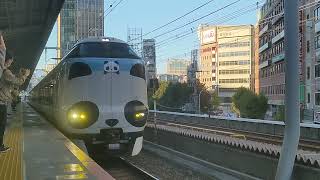 JR西日本・三ノ宮駅　パンダくろしお