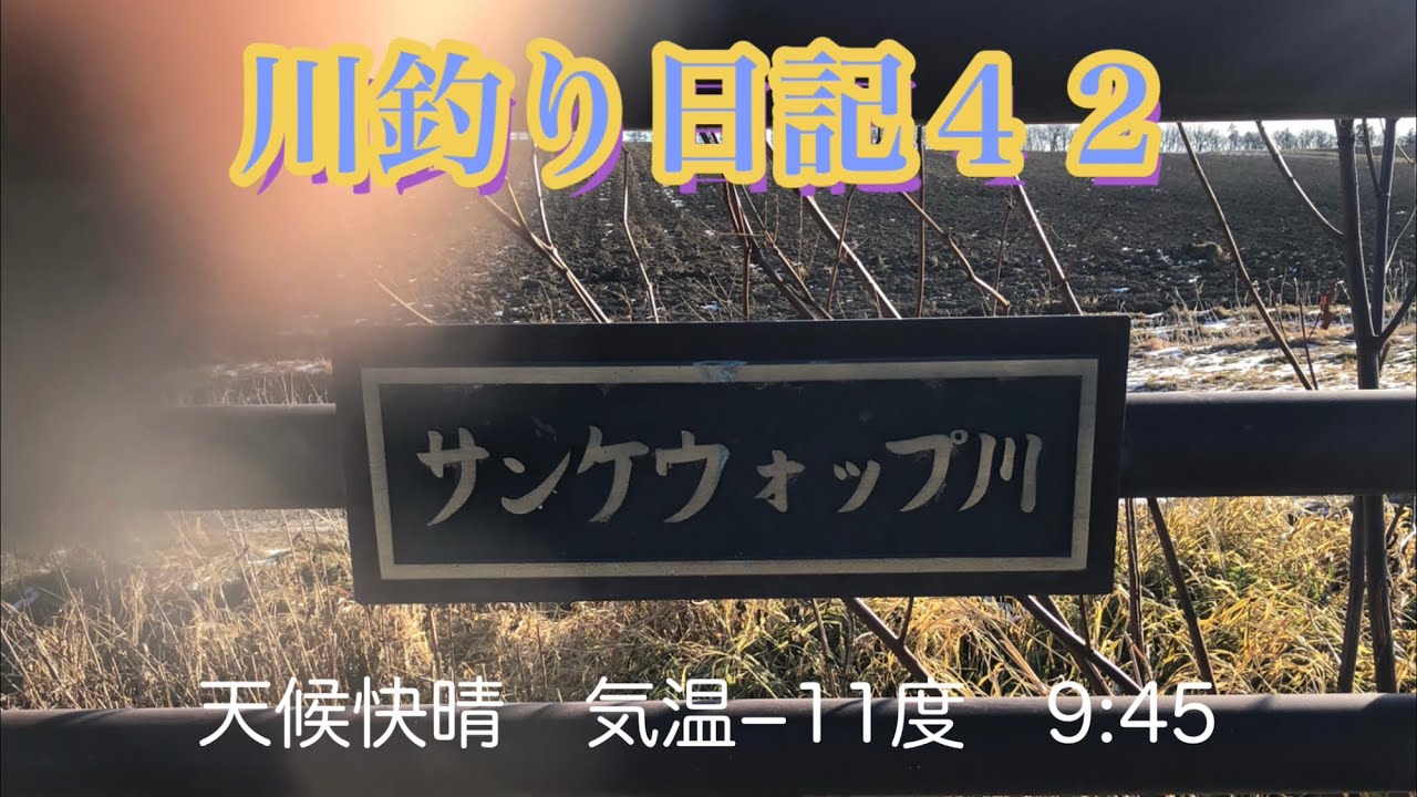 北海道十勝の川釣り 餌のマグロで良型ニジマス釣る 川釣り日記42 Youtube