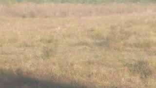 Tannerite 1/4 lb.