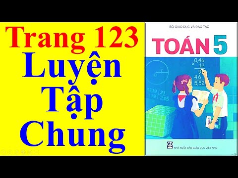 Toán Lớp 5 - Trang 123 – Luyện Tập Chung