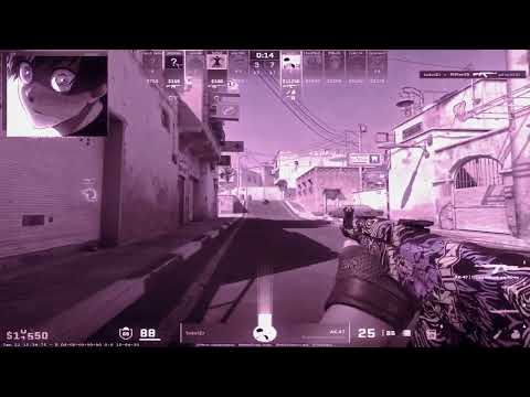 Dolphins 2-DMXTWIRK