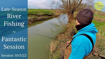 Trotting For Chub & Roach - Small River Fishing - 10/3/22 (Video 310)