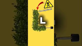 tree experiment 🌲#experiment #shorts #viralexperiment