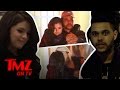 Selena Gomez and The Weeknd Dating? Check Out The Make Out Pics! | TMZ TV