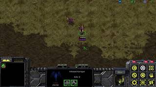 Starcraft Remastered death animations of Sarah Kerrigan and Terran Medic