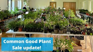 Common Good plant sales are go! Here’s how ours in Charlton Musgrove went x