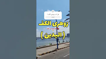 قدرات زوهرى الكف اليدين ومميزاته وعلاماته وصفاته الزوهرى زوهري الزوهريين الزوهرية الزوهريين 