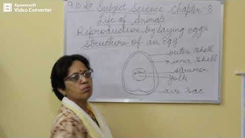 Science Class 4 Chapter 8 part 2