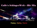 Discofox & Schlager Raketen - der beste Mix by DJ Calle  - Vol.7