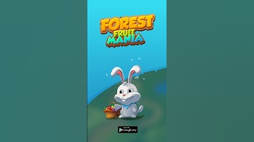 Sweet Fruits Mania - Gummy Fruit Blast